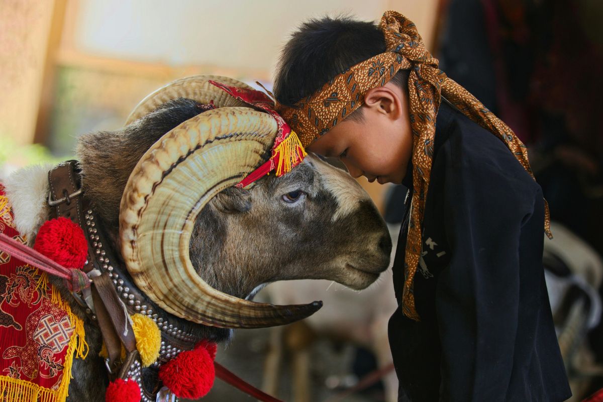 Cultural Differences Between Eastern and Western Societies