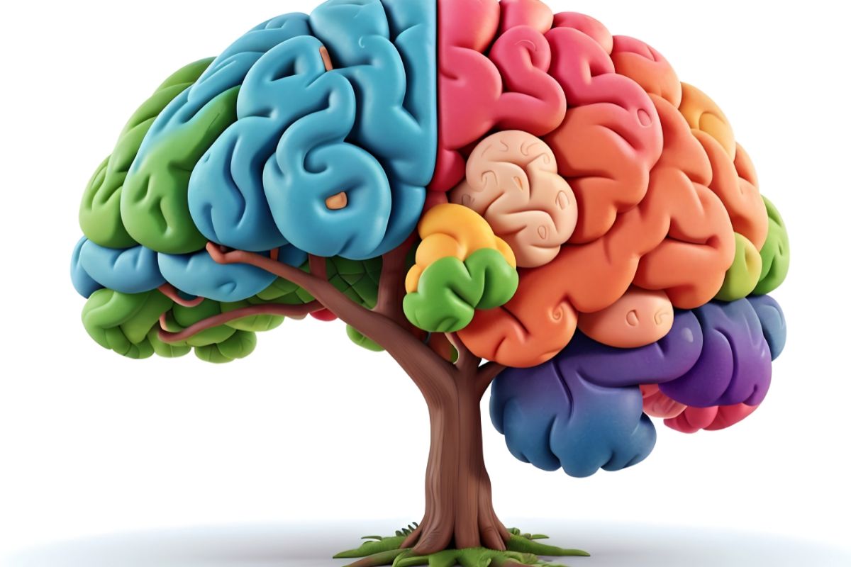 Brain Teaser Puzzles to Improve IQ
